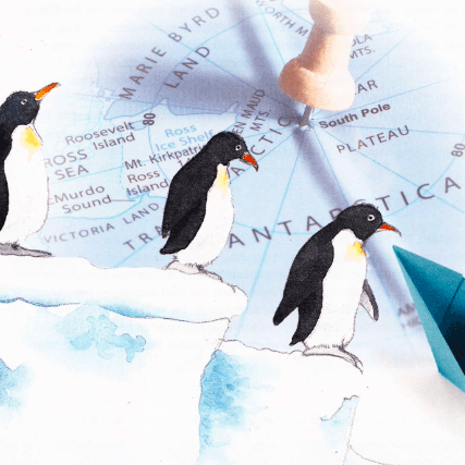 Sommerferien in der Antarktis